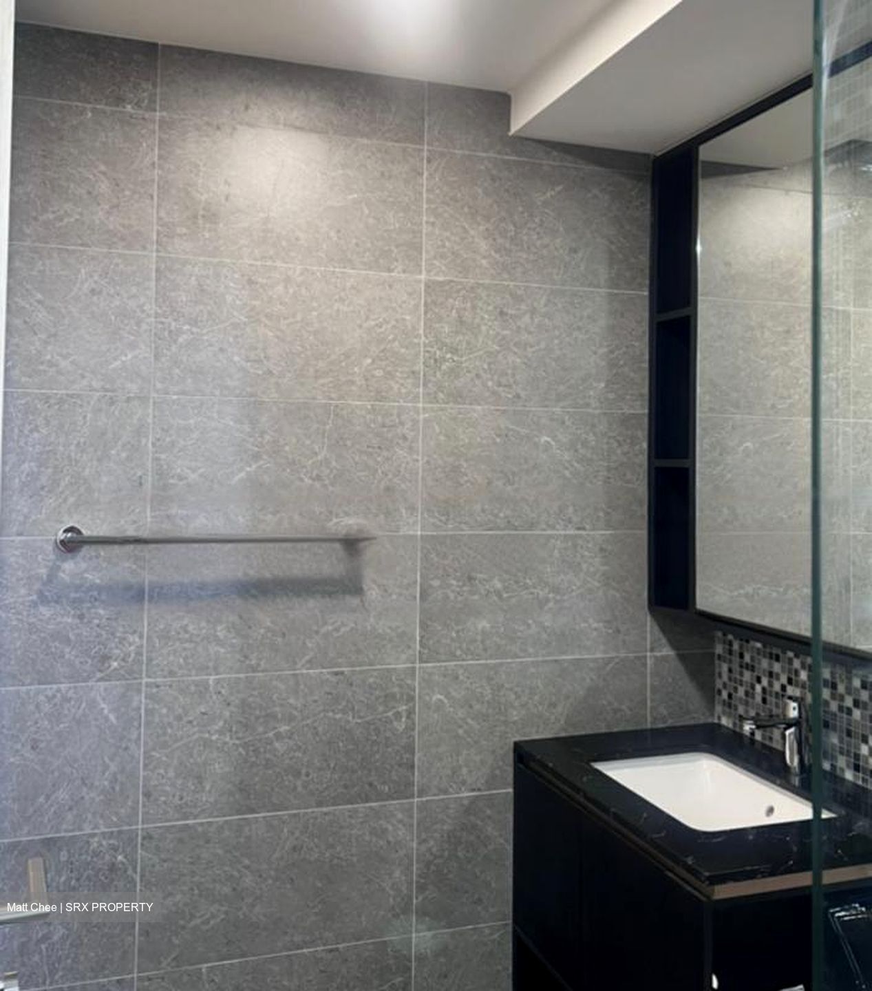 The Antares (D14), Apartment #480266351